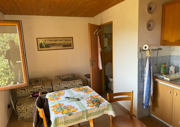 Romantická záhrada s panoramatickým výhľadom na Modru 🌿