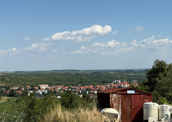 Romantická záhrada s panoramatickým výhľadom na Modru 🌿