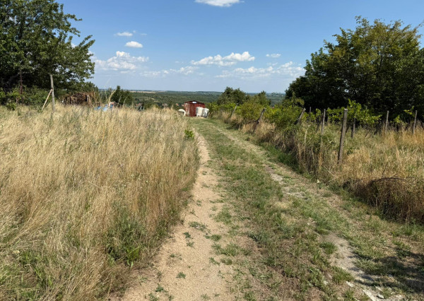 Romantická záhrada s panoramatickým výhľadom na Modru 🌿