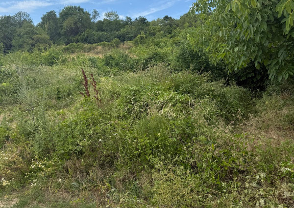 Na predaj exkluzívny stavebný pozemok na Kolibe