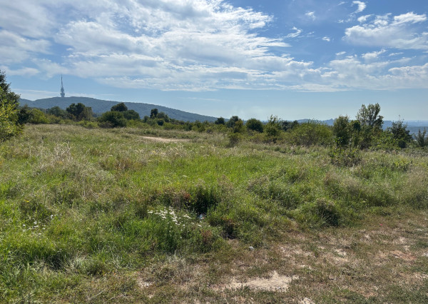 Na predaj pozemok v Lamači, Pod Zečákom