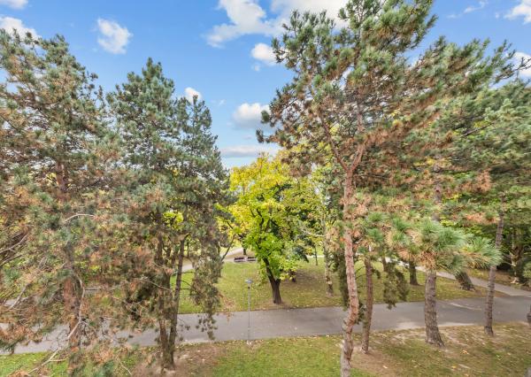 Na predaj 5-izbový byt s výmerou 114 m² v tichej a zelenej časti Ružinova – Ostredky na ulici Planét