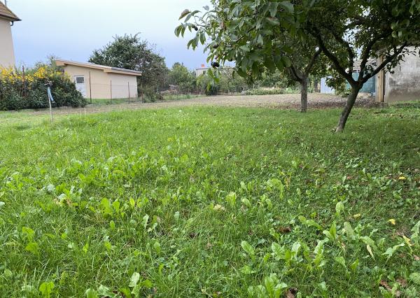 STAVEBNÝ POZEMOK - 1 202 m², Kráľová nad Váhom