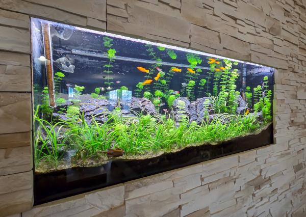 SPIŠSKÝ HRHOV- EXKLUZÍVNY rodinný dom s PROFI záhradou