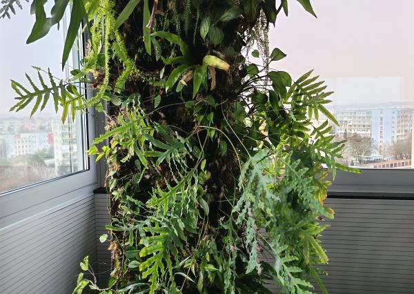 Ikonické Sídlo na prenájom pre Lídrov na 10. Poschodí