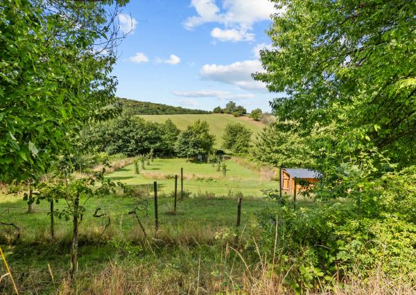 Na prenájom výnimočný vinohrad v Lozorne