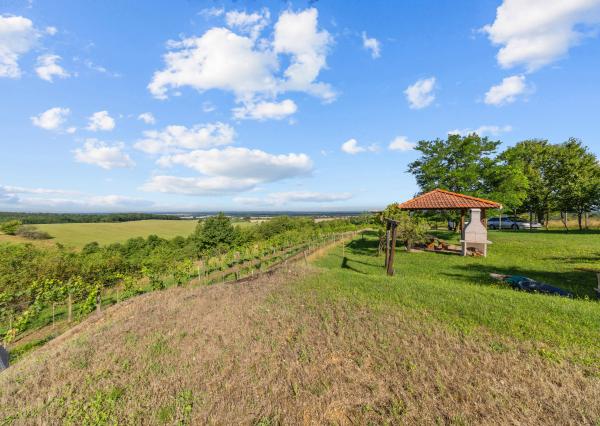 Na prenájom výnimočný vinohrad v Lozorne