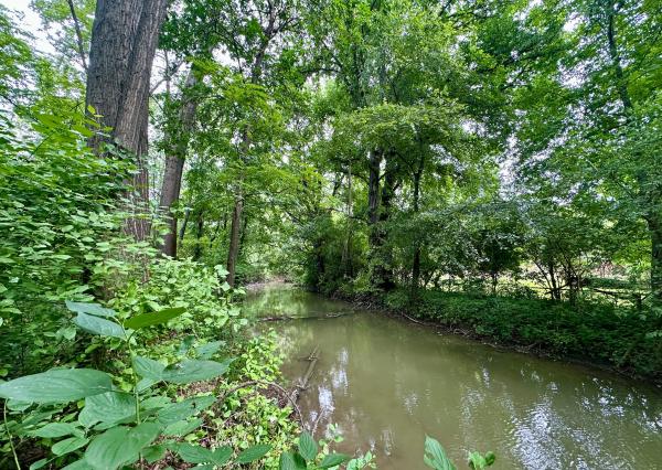 Pozemok pri potoku s atmosférou prírody – Tureň