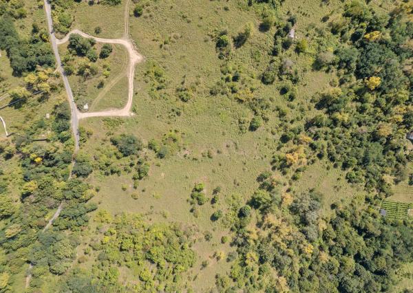 Na predaj pozemok v Lamači, Pod Zečákom