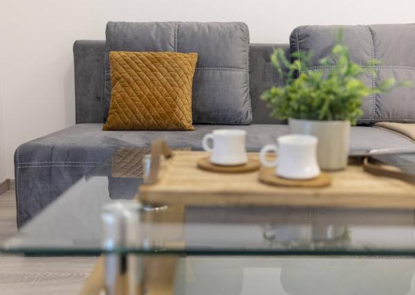 Na prenájom - Kompletne zariadený , bezbariérový 1-izbový byt v novostavbe, Sídlisko Platan Šamorín