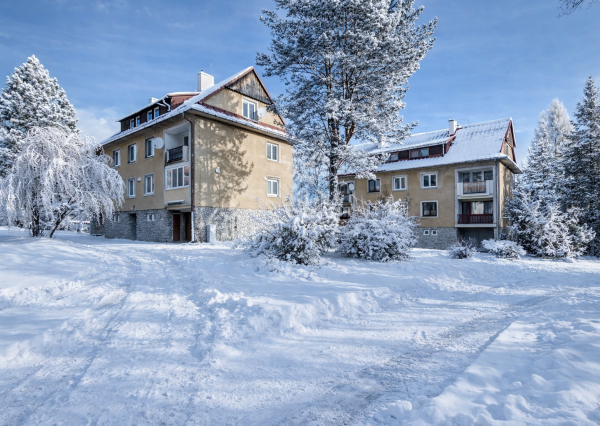 2-izbový byt s balkónom DOLNÝ SMOKOVEC (VYSOKÉ TATRY)