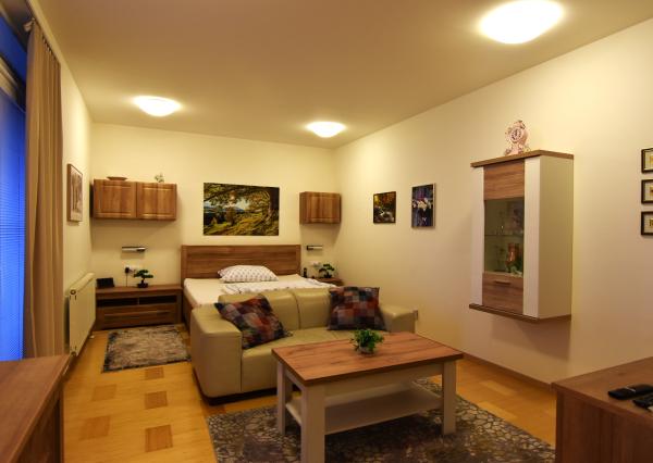 Na prenájom kompletne zariadený 1-izbový byt v Bratislave.