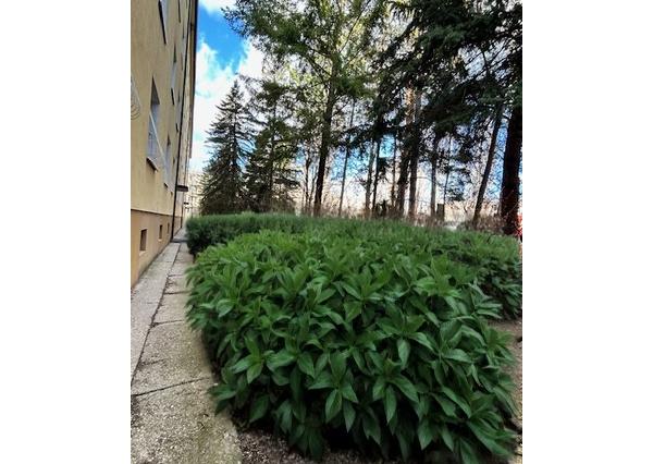 PREDAJ: Slnečný 3-izbový byt v srdci Ružinova – tehla a zeleň