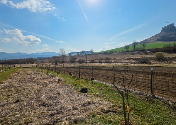 STUDENEC- 2 rodinné domy + POZEMOK na PREDAJ
