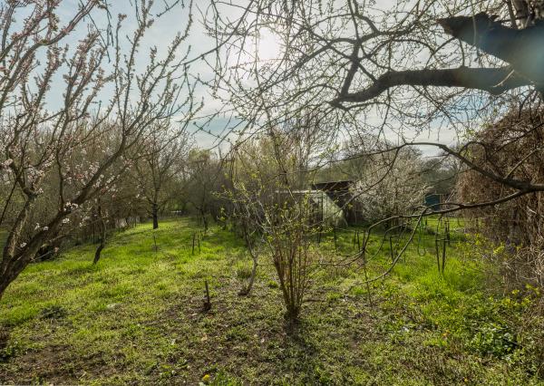Na predaj rodinný dom v obci Nýrovce s veľkou záhradou