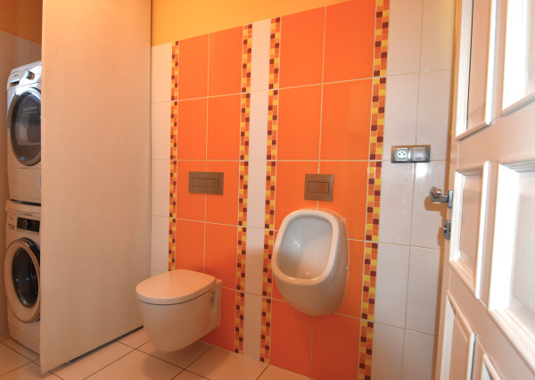 5-izbový rodinný dom s bazénom na kráľovskom pozemku (2166 m²) – Sološnica