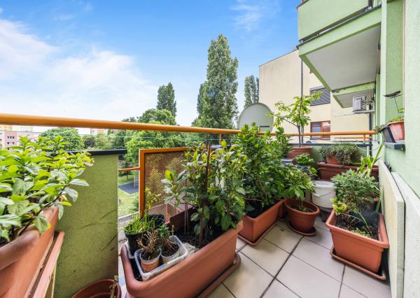 Na predaj nadštandardný 3-izbový byt v centre Dunajskej Stredy – 114 m²