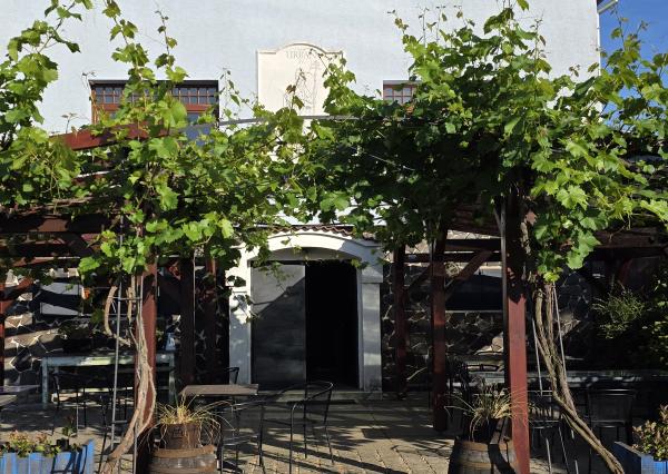 EXKLUZÍVNE NA PREDAJ — Vinohradnícky dom u sv. Urbana, Skalica.