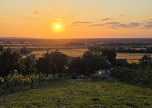 EXKLUZÍVNE NA PREDAJ — Vinohradnícky dom u sv. Urbana, Skalica.