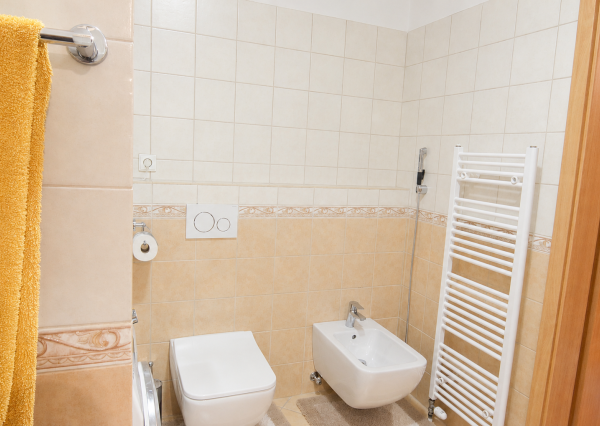 NA PREDAJ VEĽKOMETRÁŽNY BYT S TERASOU, VÝHĽADOM NA VÁH A VLASTNÝM GARÁŽOVÝM STÁTÍM