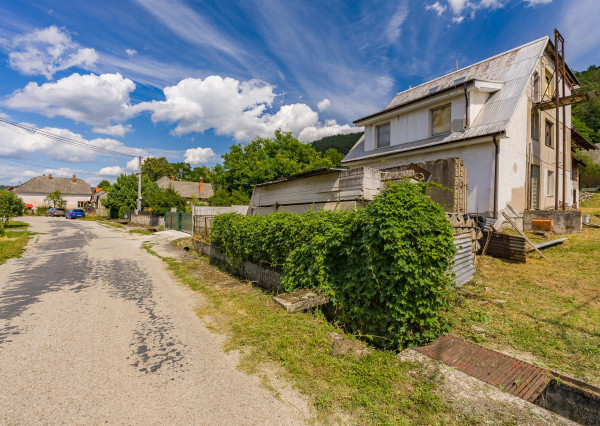 VEĽKÝ DOM, 2 422 m² POZEMKU A LES ZA ZÁHRADOU | HRACHOVIŠTE