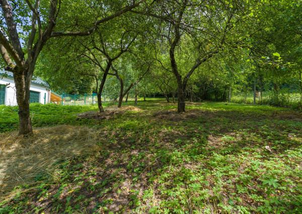 VEĽKÝ DOM, 2 422 m² POZEMKU A LES ZA ZÁHRADOU | HRACHOVIŠTE