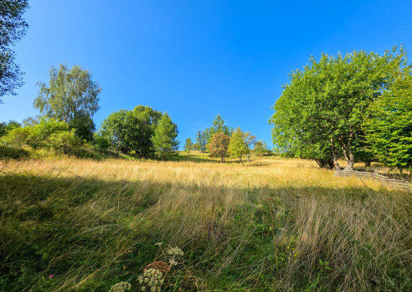 BRUTOVCE - pozemok (3.254m2) NA PREDAJ