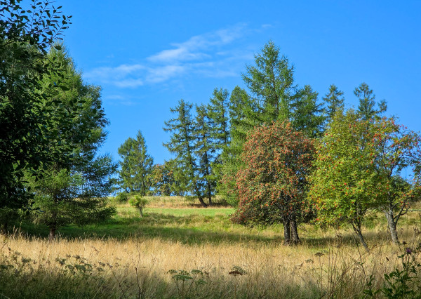 BRUTOVCE - pozemok (3.254m2) NA PREDAJ