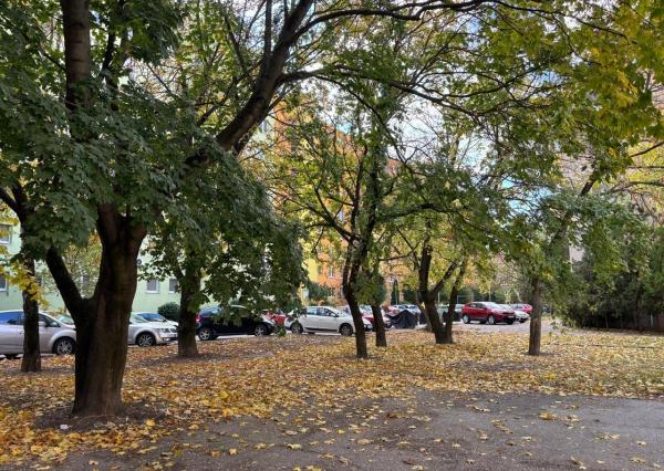 NA PREDAJ 2-izbový byt v centre Dunajskej Stredy – 53 m²